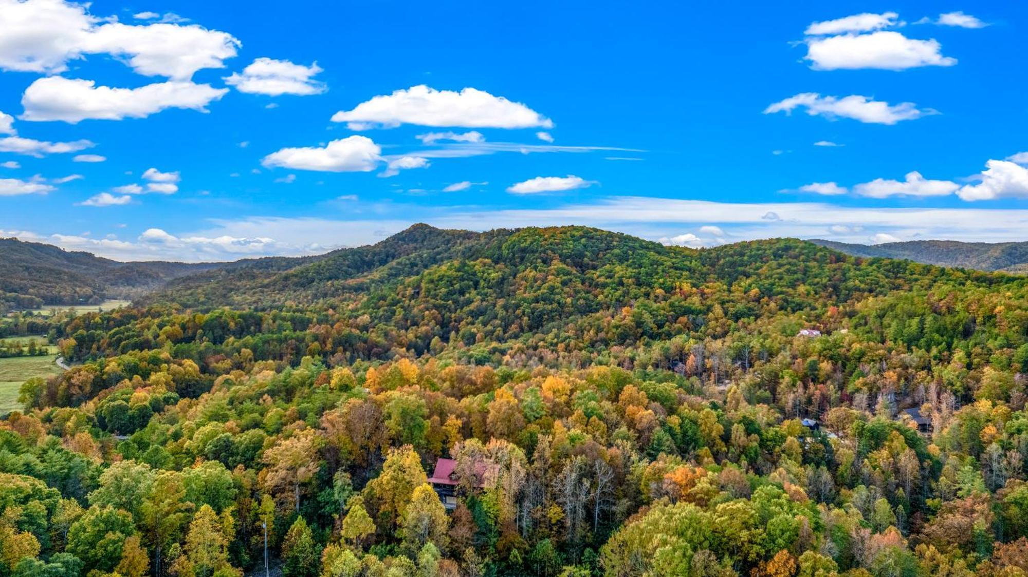 Relaxation Retreat - Pickleball Cabin - Wi-Fi, Fire Pit With Bar, Ev, Game Room, Hot Tub, Pool Access - Mins To Pf Sevierville Exteriör bild